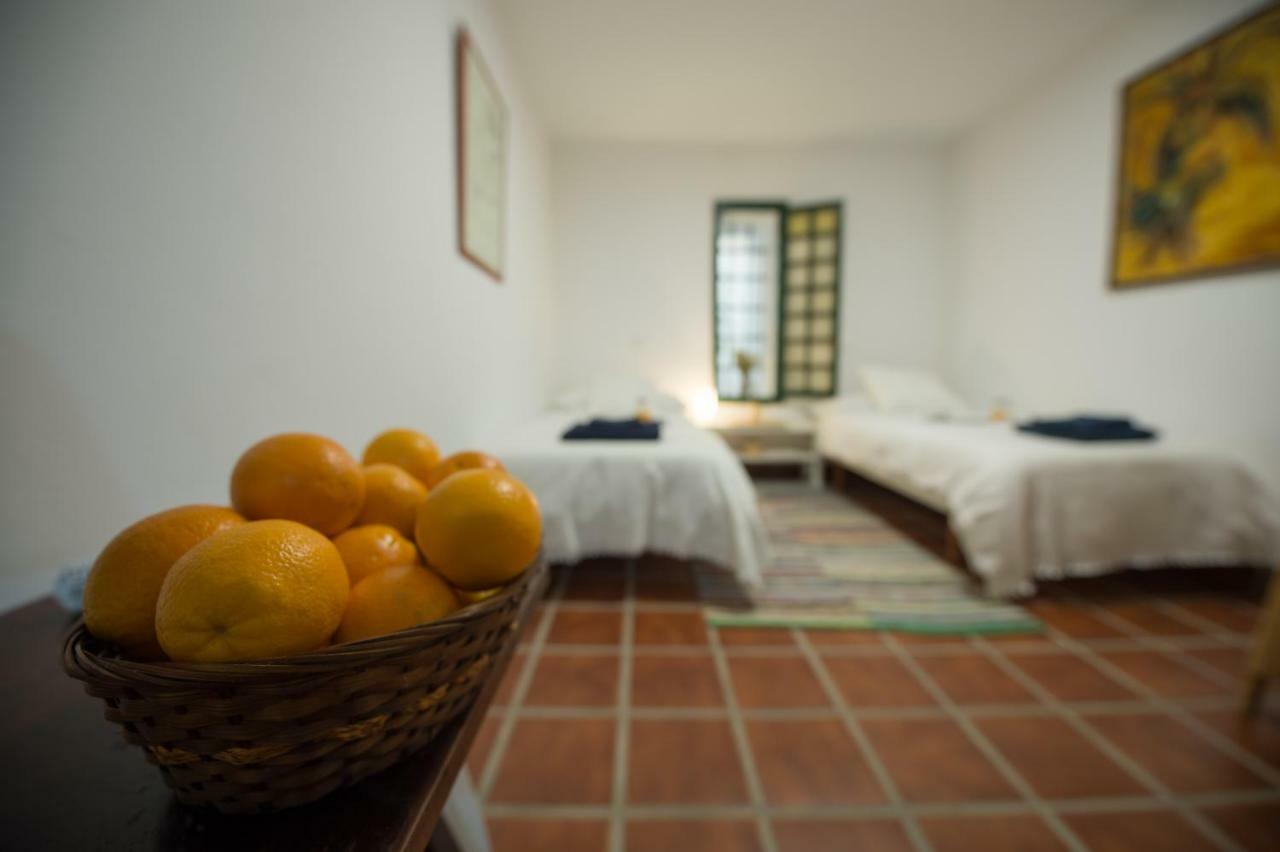 Finca Hoya Del Pozo Telde Kültér fotó
